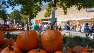 Erntefest rund um das Barnim Panorama in Wandlitz
