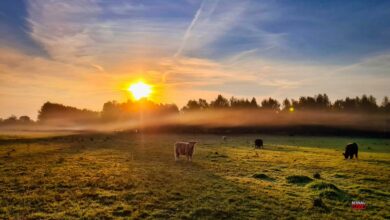 Willkommen in der neuen Woche und guten Morgen aus Bernau