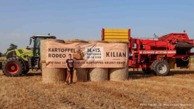 Auf zum traditionellen Kartoffel - Rodeo nach Ruhlsdorf