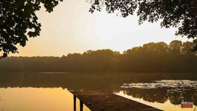 a dock on a lake Mechesee, Lobetal, Bernau, Barnim, Sonnenaufgang, Herbst