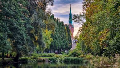 Hallo aus Bernau und eine gute Wochenmitte