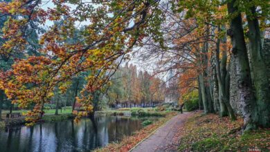Guten Morgen aus Bernau und willkommen in der neuen Woche