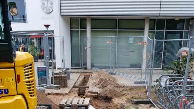 Fassadenbegrünung am Rathaus Panketal als Beitrag zum Klimaschutz