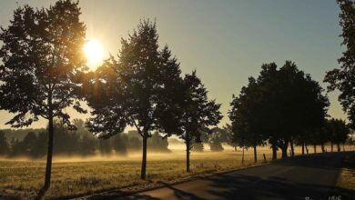 Guten Morgen aus Bernau und einen sonnigen Dienstag