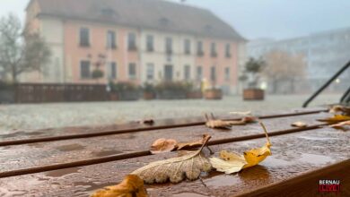 Willkommen in der neuen Woche und guten Morgen aus Bernau