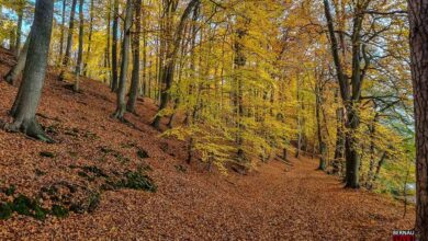 Guten Morgen aus Bernau und einen schönen Dienstag