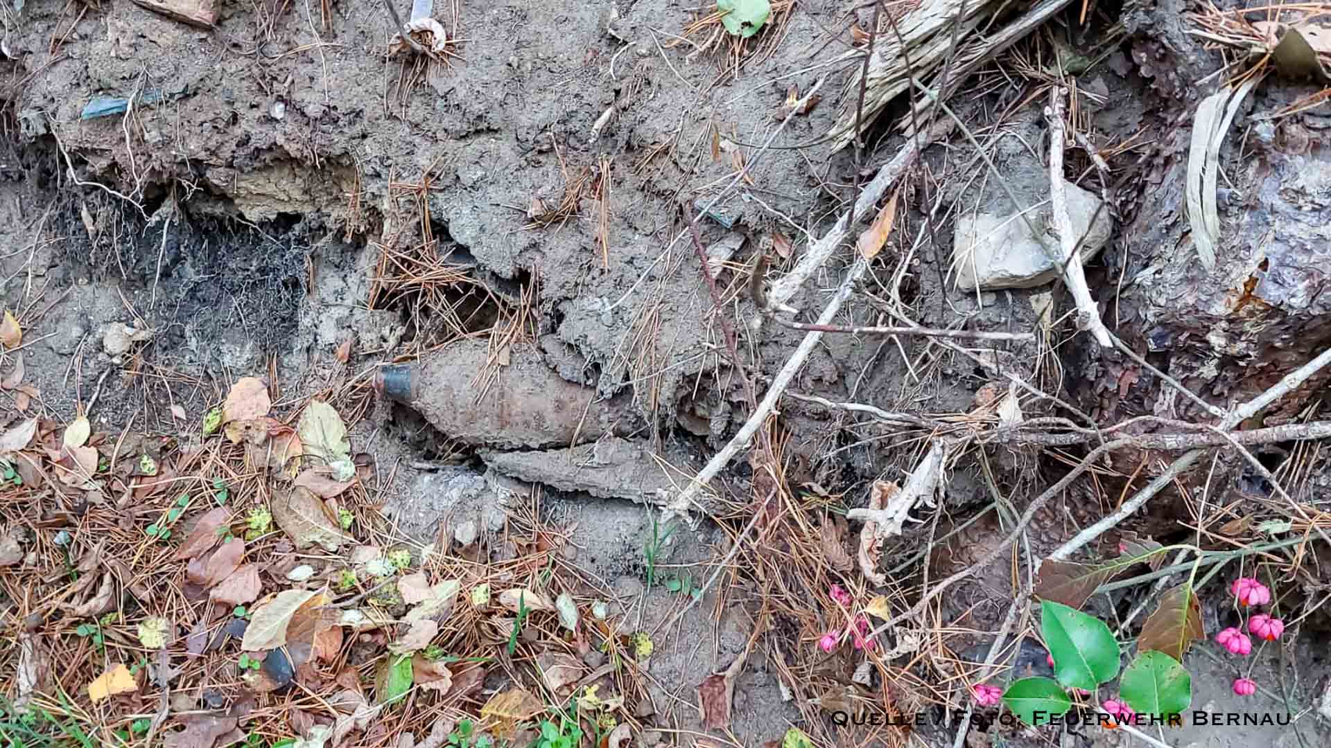 Bernau LIVE - Dein Stadtmagazin für Bernau bei Berlin