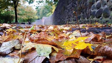Willkommen in der neuen Woche und guten Morgen aus Bernau