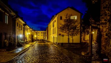 Bernau LIVE - Dein Stadtmagazin