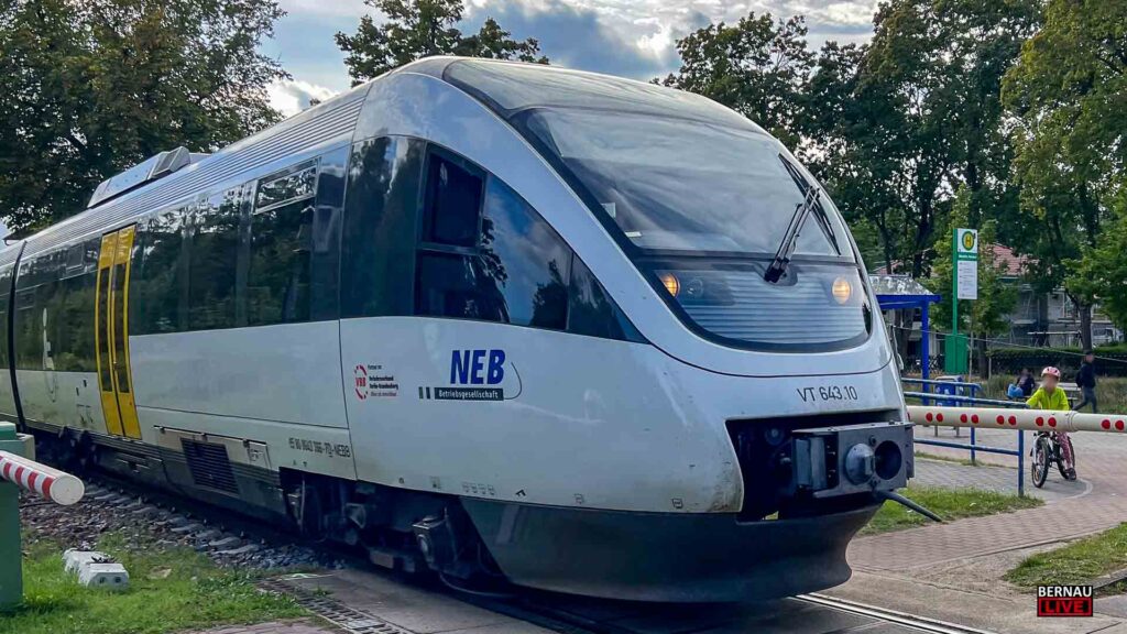 Guten Morgen aus Bernau - Verkehr, Infos und Tipps am Donnerstag 3 NEB - Roadshow in Werneuchen mit vielfältigem Programm