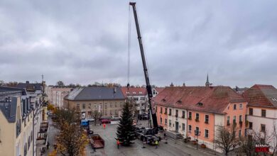 Weihnachtsbaum soeben auf dem Bernauer Marktplatz aufgestellt
