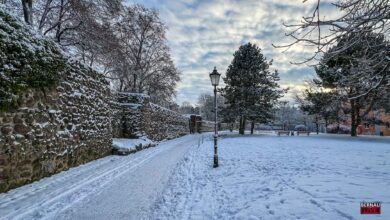 Veranstaltungen und Tipps für das Wochenende in und um Bernau