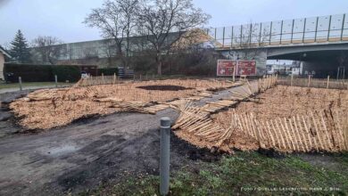 Blinde Zerstörungswut: Friedenswäldchen in Bernau beschädigt