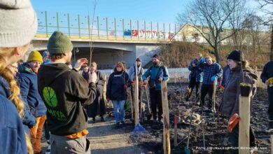 1.525 junge Bäume und Sträucher in Bernau geflanzt
