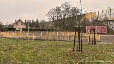 Bernau: Einladung zur gemeinsamen Pflanzaktion am 13. Dezember