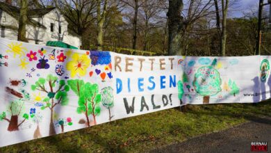 Bürgerinitiative ‚BernauerWaldRetten‘ findet Gehör in der Bernauer SVV