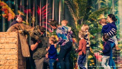 DinoMania - Familienshow zu Gast in der Stadthalle am Steintor in Bernau