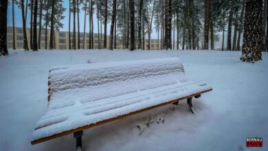 Schneefall in und um Bernau - Vorsicht vor Frost und Glätte
