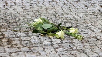 Gedenk-Veranstaltungen zum Holocaust-Gedenktag in und um Bernau