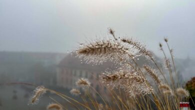 Guten Morgen aus Bernau und willkommen in der Wochenmitte