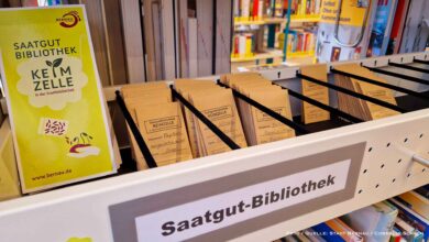 Saatgutbibliothek „Keimzelle“ in Bernau - Vortrag zur Saatgutgewinnung