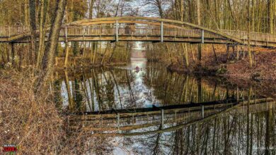 Bernau LIVE - Dein Stadtmagazin