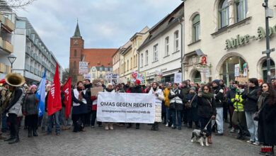 Wahlveranstaltung und Proteste in der Innenstadt von Bernau