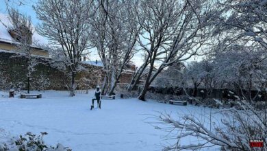 Guten Morgen aus Bernau und einen winterlich-schönen Freitag
