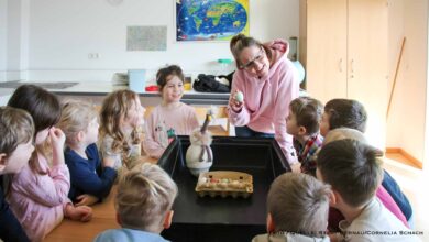 Projekt "Dein Küken" startet in der Bernauer Kita Kindergärtnerei