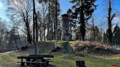 Veranstaltungen und Tipps für das Wochenende in Bernau und Barnim