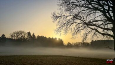 Guten Morgen aus Bernau und allen einen schönen Freitag