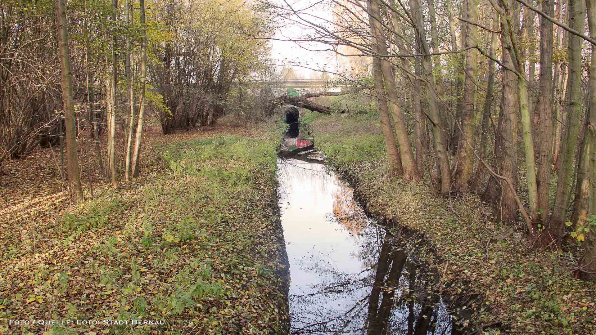 Renaturierungsmaßnahmen für den Panke-Park in Bernau