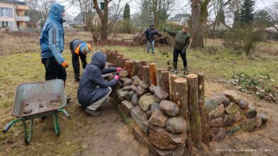Wo Sand zum Lebensraum wird: Sandarium für Wildbienen in Bernau