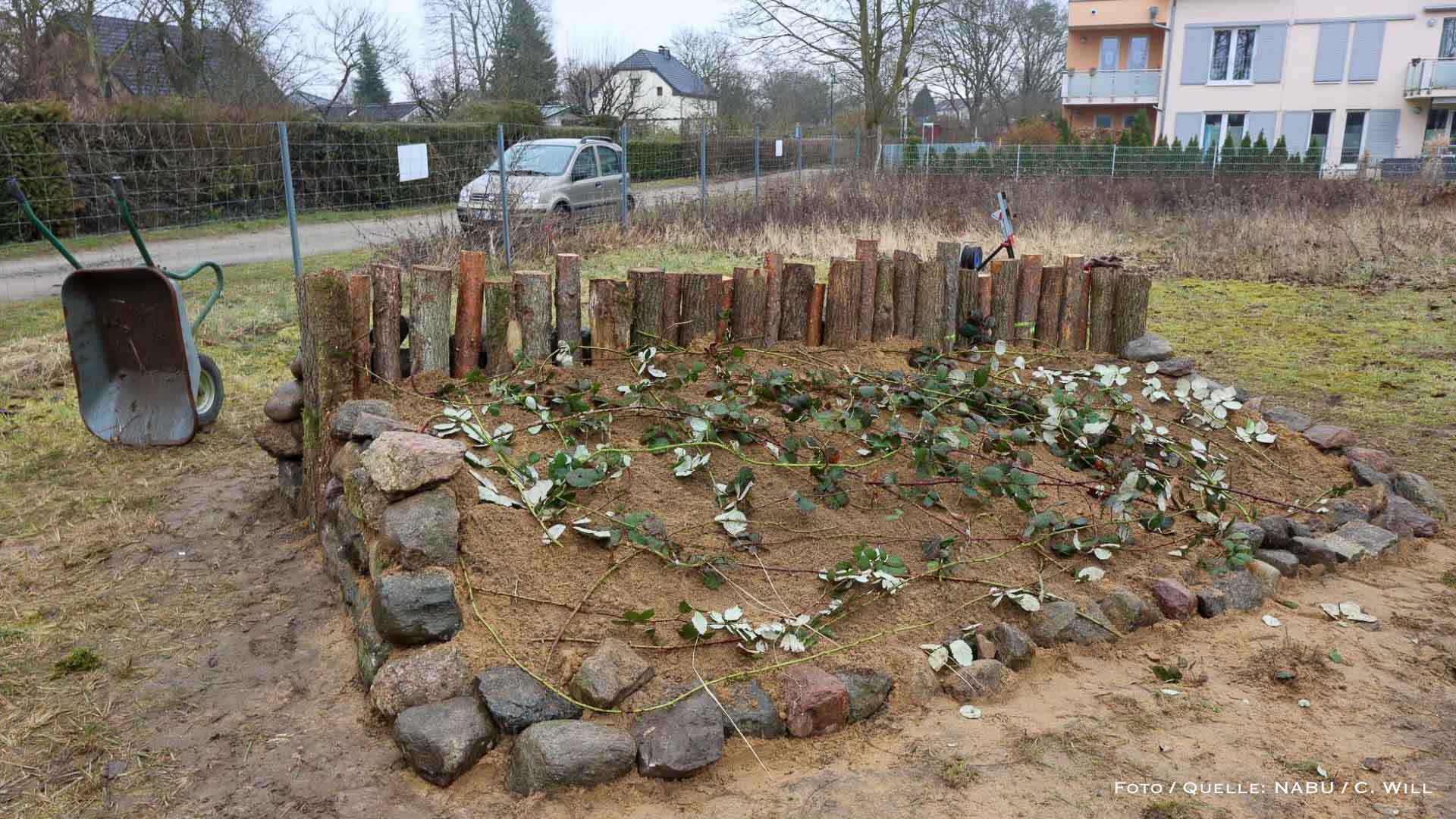 Wo Sand zum Lebensraum wird: Sandarium für Wildbienen in Bernau