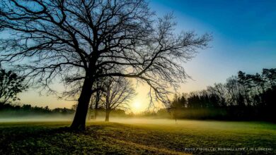 Bernau LIVE wünscht allen einen sonnig-schönen Freitag