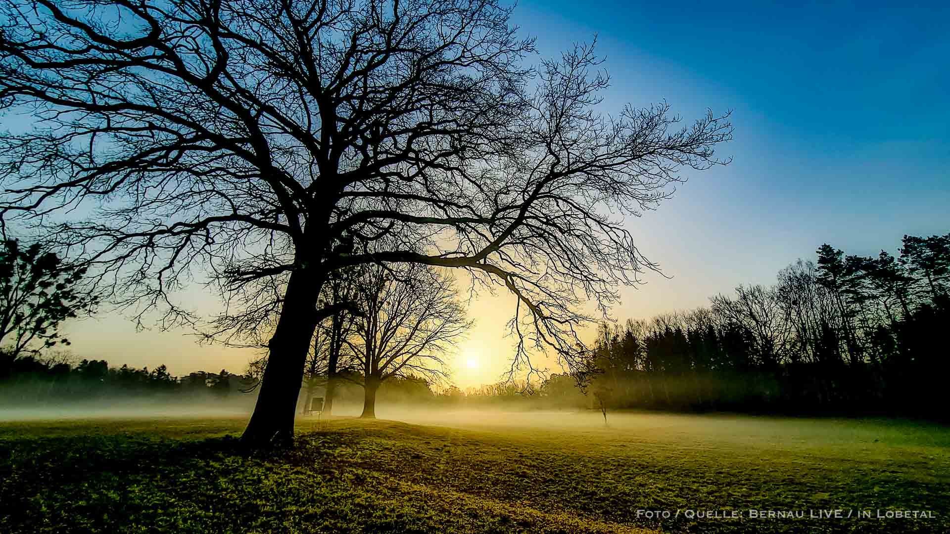 Bernau LIVE wünscht allen einen sonnig-schönen Freitag