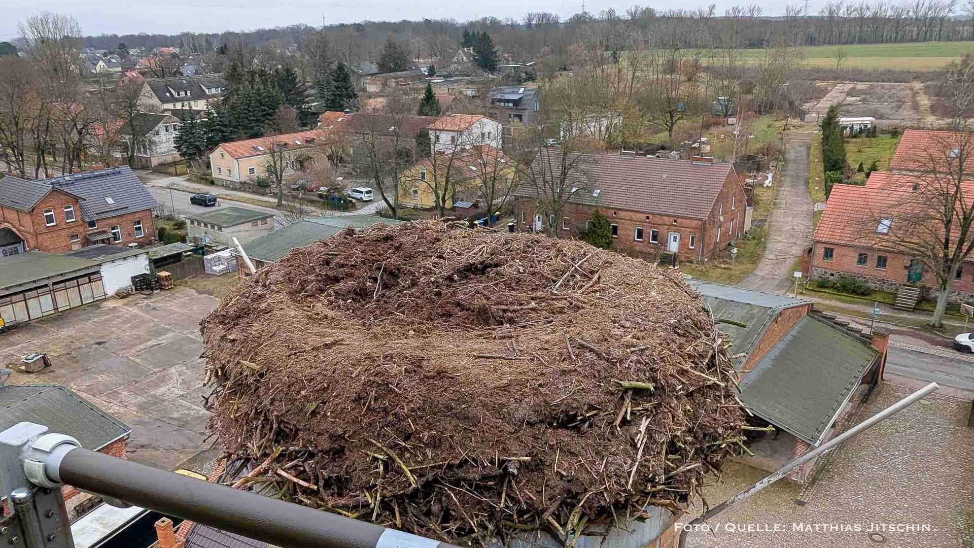 Bernau LIVE - Dein Stadtmagazin für Bernau bei Berlin