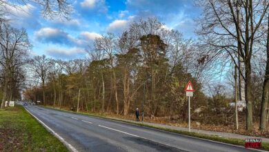 Heber Niederschlag für die Bernauer Bürgerinitiative ‚BernauerWaldRetten‘