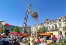 Familienfest zur Maibaum-Aufstellung auf dem Marktplatz Bernau