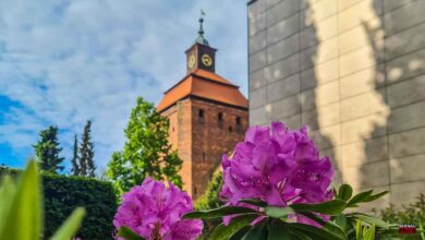 Guten Morgen aus Bernau und allen eine gute Wochenmitte