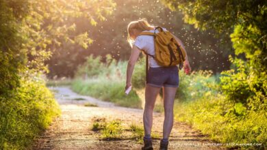 Zecken-Schutz vom Helios-Neurologen: Wertvolle Ratschläge für die ganze Familie