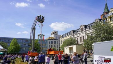 Maibaum auf dem Marktplatz Bernau aufgestellt - Ab 18 Uhr Lokaltour