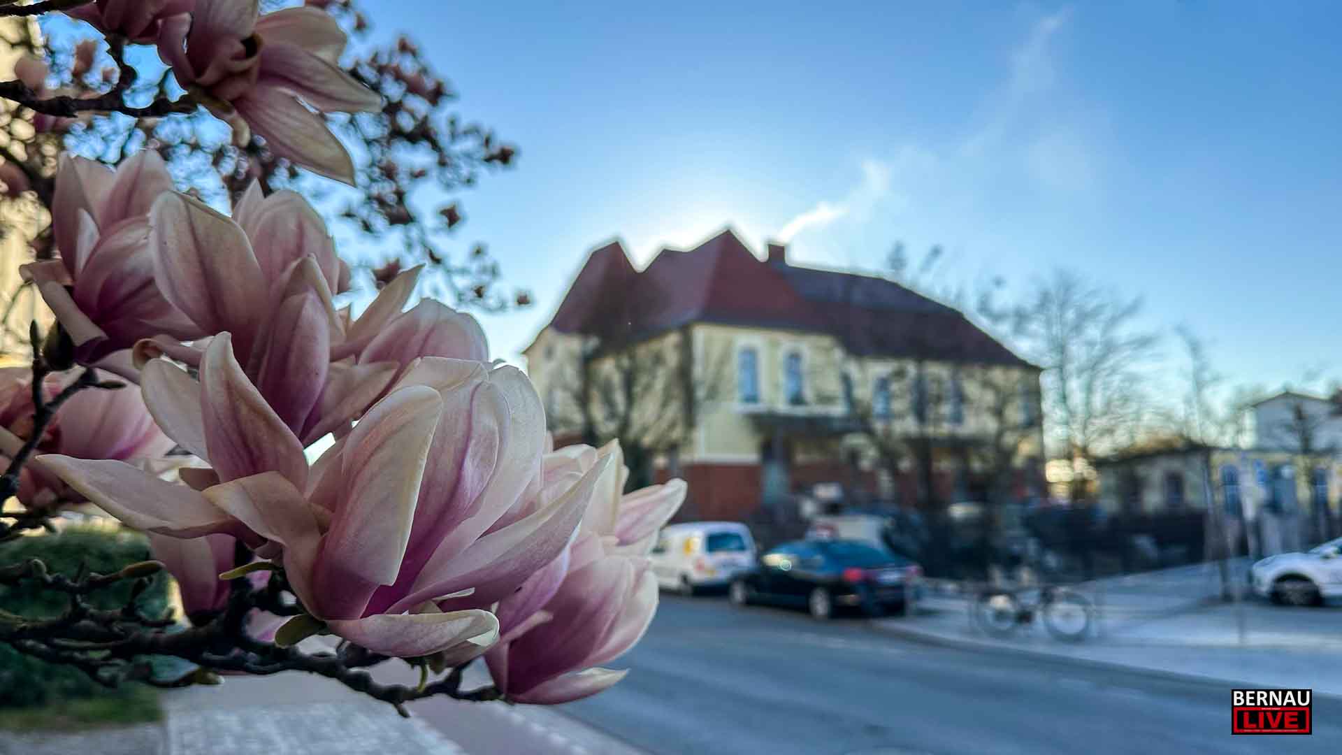 Guten Morgen aus Bernau und allen einen sonnig-schönen Freitag