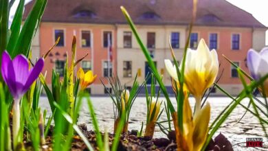 Guten Morgen aus Bernau und willkommen im April