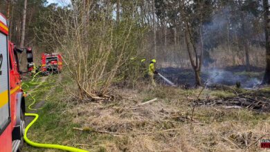 Bernauer Feuerwehr löscht am Montagmorgen Flächenbrand in Lobetal