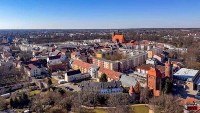 Bernau erleben und entdecken: Geführte Touren zu Fuß und mit dem Rad