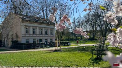 Stadtpark Bernau: Stadtgärtner-Café startet ab Dienstag in die neue Saison
