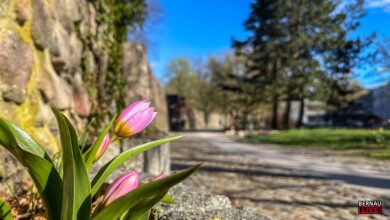 Willkommen in der neuen Woche und guten Morgen aus Bernau