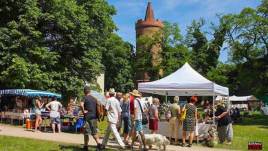Sonntag in Bernau: Kunst- und Handwerkermarkt und Museumseröffnung