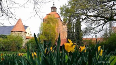 Hallo aus Bernau und allen eine gute Wochenmitte
